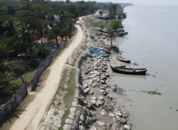 বরগুনার পানি উন্নয়ন বোর্ডে বৃক্ষ রোপনে “শুভঙ্করের ফাঁকি”