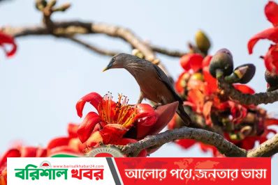 ফাগুন  মানে : রোকেয়া মুন্নি