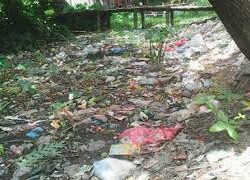 মশার উপদ্রবে অতিষ্ঠ বরিশাল নগরবাসী