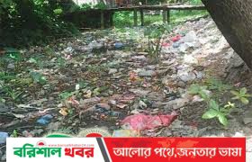মশার উপদ্রবে অতিষ্ঠ বরিশাল নগরবাসী