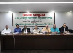 ডিজিটাল নিরাপত্তা আইনটি ক্ষমতাসীনদের হাতিয়ার হিসেবে তুলে দেওয়া হয়েছে