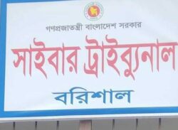 বাউল শিল্পী ছালমার বিরুদ্ধে অপপ্রচারকারী  ৮ জনের নামে সাইবার ট্রাইব্যুনালে  মামলা