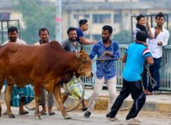 কোরবানি ও এর অর্থনৈতিক প্রভাব