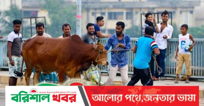 কোরবানি ও এর অর্থনৈতিক প্রভাব