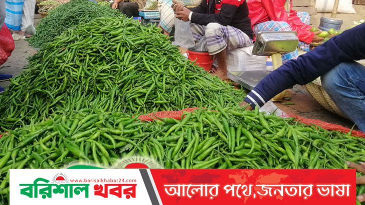 কাঁচামরিচের দাম ৪০০ টাকা
