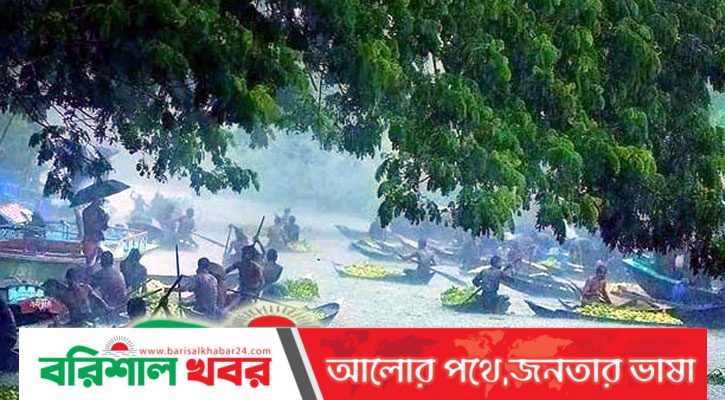আটঘর কুড়িয়ানায় ভিমরুলের কামড়ে আহত ২৪