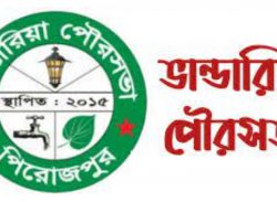 ভান্ডারিয়া পৌর নির্বাচন :  রিটার্নিং অফিসারের সামনেই সাংবাদিককে টাঙিয়ে পিটানোর হুমকি