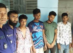 বাবুগঞ্জে ইজিবাইক ছিনতাই চক্রের চার সদস্য আটক