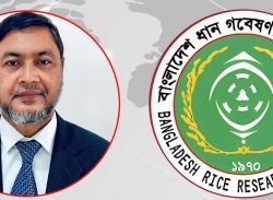 ধান গবেষণায় শৃঙ্খলা ফেরাতে পারেনি খালেকুজ্জামান