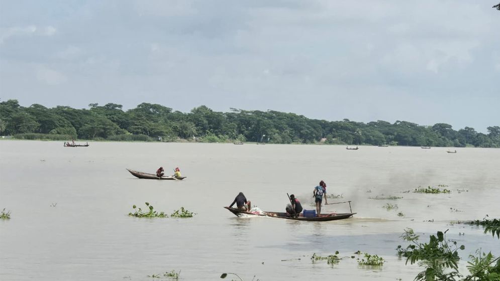 পায়রা, পান্ডব, পাতাবুনিয়া ও লোহালিয়া নদীতে অবাধে ইলিশ শিকার