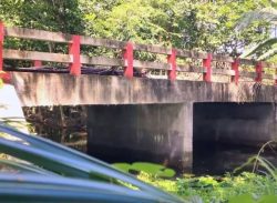 গাড়িচালকের পুকুরে প্রবেশের জন্য ৩১ লাখ টাকা ব্যয়ে সেতু নির্মাণ