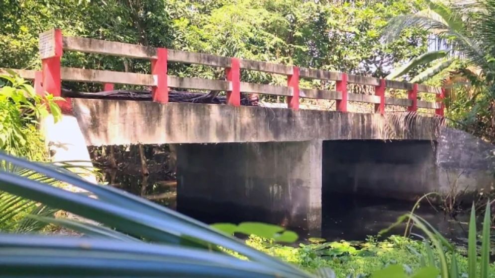 গাড়িচালকের পুকুরে প্রবেশের জন্য ৩১ লাখ টাকা ব্যয়ে সেতু নির্মাণ