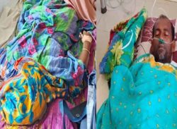 ভোলায় সাংবাদিকের বাড়িতে চুরির চেষ্টা