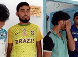 সুগন্ধা ও বিষখালী নদীতে ইলিশ শিকারের দায়ে ১১ জেলের কারাদণ্ড