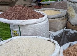 লালা-সাদা চালের পুষ্টি ও স্বাস্থ্যের উপকারিতা