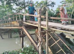 সেতুর স্থলে সাঁকো,দুই উপজেলার মানুষ দুর্ভোগে