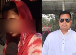 বরিশালে বিএনপি নেতাসহ দুই ভাইয়ের ধর্ষণে এক গৃহপরিচারিকা অন্ত:সত্ত্বা