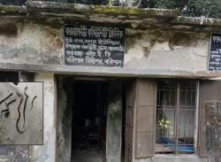 নলছিটির কারুয়াকাঠি কমিউনিটি ক্লিনিকে একসঙ্গে সাত সাপ