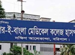 বরিশালে ডেঙ্গুতে নারীসহ ২ জনের মৃত্যু