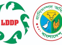 প্রাণী সম্পদ অধিদপ্তরের প্রাণিসম্পদ ও ডেইরি প্রকল্পে ৫,৩৮৯ কোটি টাকার দুর্নীতি