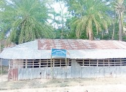 অনুদানপ্রাপ্ত পাঁচটিসহ ৭৬টি স্বতন্ত্র ইবতেদায়ী মাদ্রাসায় নেই কোনো শিক্ষার্থী