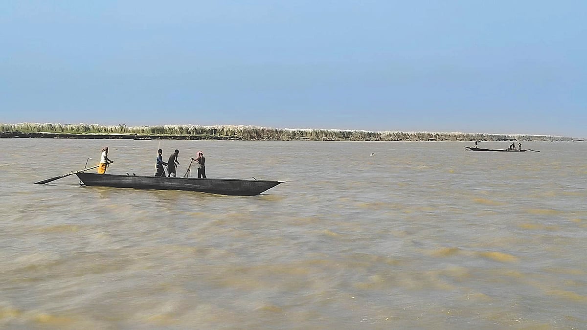 ইলিশ রক্ষায় নিষেধাজ্ঞা, পদ্মায় অন্য চিত্র