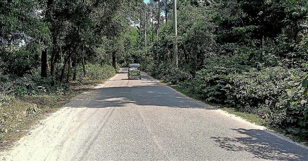 এই সড়কে দিনে চলতেও ভয়