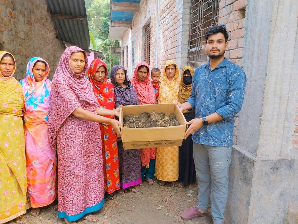 কোয়েল পাখি পালনে স্বাবলম্বী হওয়ার স্বপ্ন দেখছে ১০ পরিবার