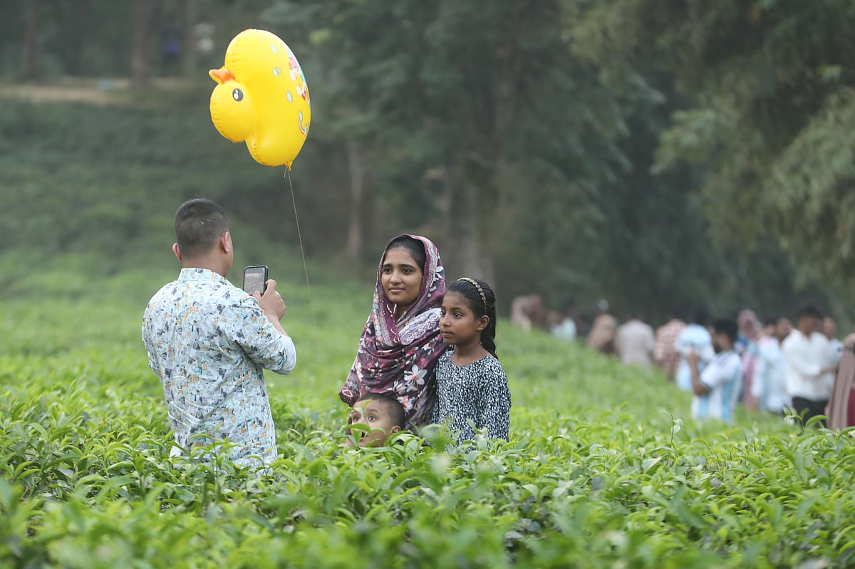 চা-বাগানের সবুজে আনন্দ