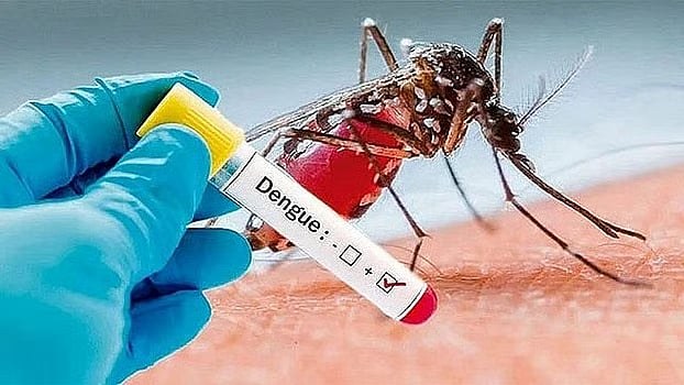 ডেঙ্গুতে মৃত্যু ৪০০ পার হলো