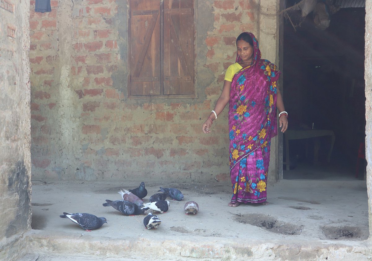 তিন জোড়া কবুতরে শুরু, স্বপ্না এখন সংসারের ভরসা