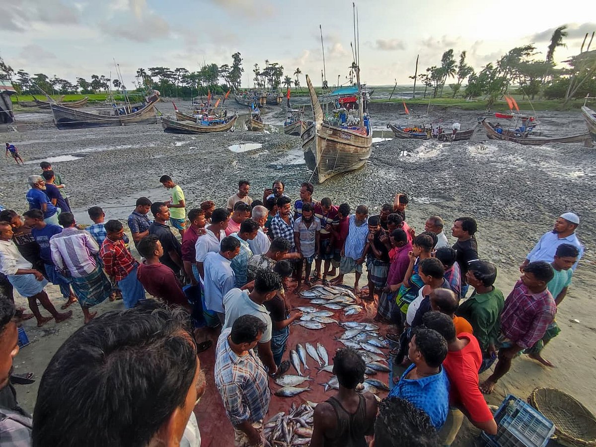 নিষেধাজ্ঞার মধ্যেও ধরা হচ্ছে ইলিশ, সরকারি সহায়তা পাননি কোনো জেলে