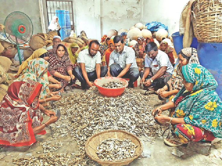 মাছের শিদল কীভাবে বানায়