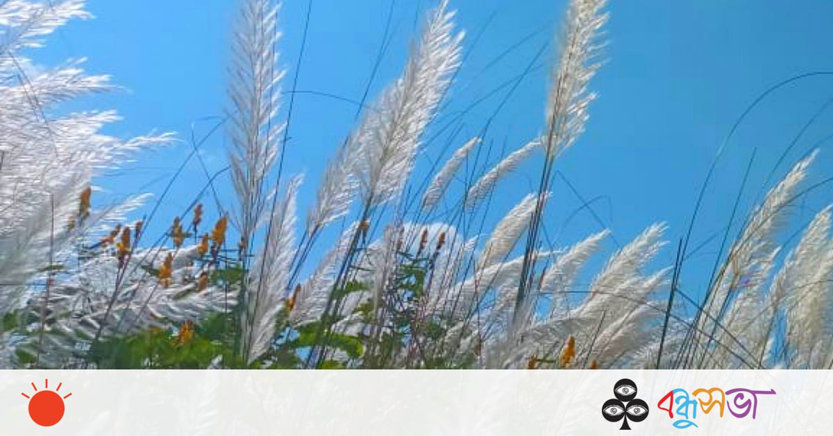 শরতের মনভোলানো স্নিগ্ধ সৌন্দর্য