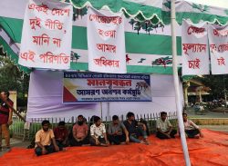 ৪৫তম বিসিএসে সুপারিশ পেয়েও বাদ, রাষ্ট্রীয় অনাচারের অভিযোগ, রি–ভেরিফিকেশনের আশ্বাস প্রতিমন্ত্রীর